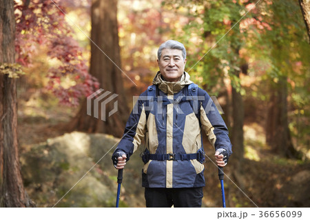 感情 公園 紅葉 36656099