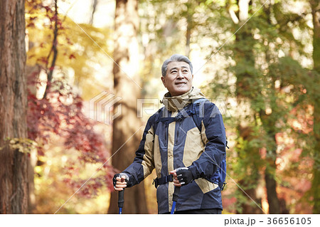 感情 頭持ち上げる 顔をあげる 36656105