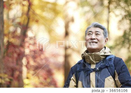 感情 頭持ち上げる 顔をあげる 36656106