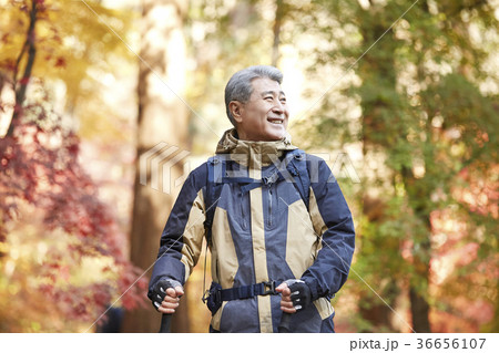 感情 頭持ち上げる 顔をあげる 36656107