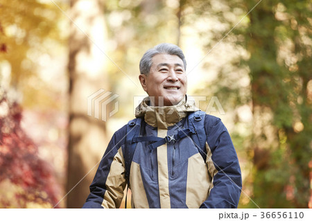 感情 頭持ち上げる 顔をあげる 36656110