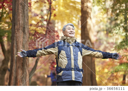 感情 頭持ち上げる 顔をあげる 36656111