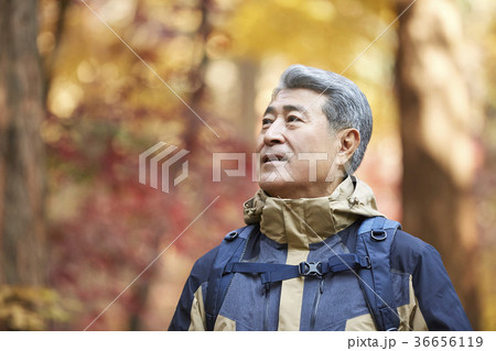 感情 頭持ち上げる 顔をあげる 36656119