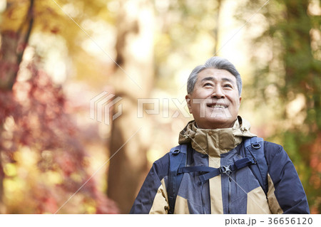 感情 頭持ち上げる 顔をあげる 36656120