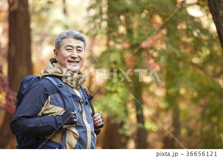 感情 公園 紅葉 36656121