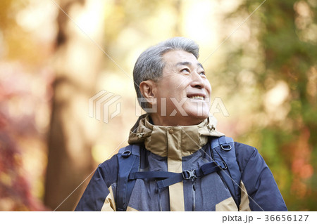 感情 頭持ち上げる 顔をあげる 36656127