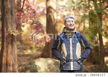 感情 頭持ち上げる 顔をあげる 36656157