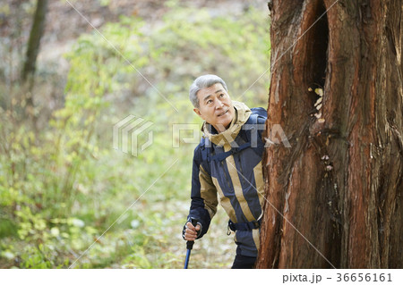 感情 季節 男 36656161