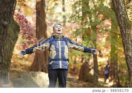感情 頭持ち上げる 顔をあげる 36656170