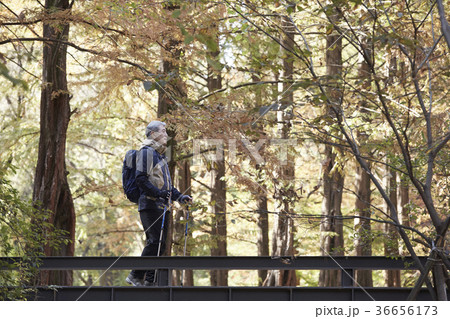 感情 歩く 手すり 36656173