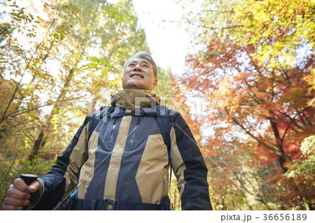 感情 公園 紅葉 36656189