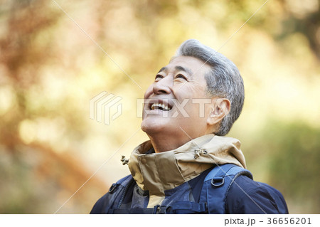 感情 頭持ち上げる 顔をあげる 36656201