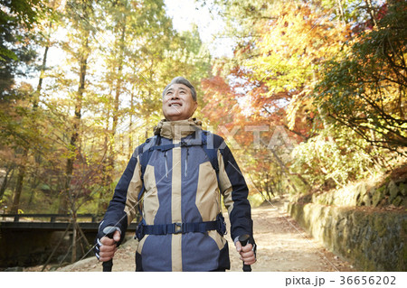感情 頭持ち上げる 顔をあげる 36656202