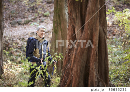 秋 男 男性 36656231