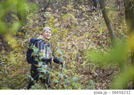 秋 男 男性 36656232