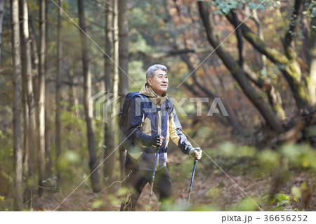 秋 男 男性 36656252