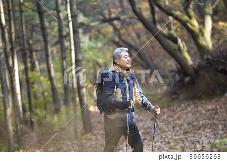 秋 男 男性 36656263