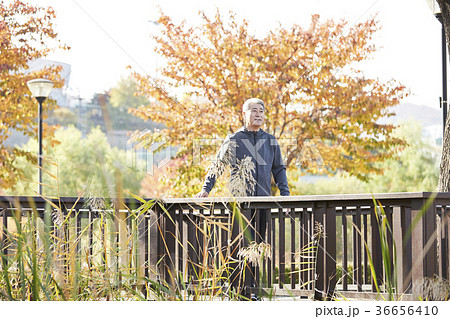 秋 公園 男 36656410