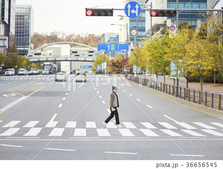 秋 男 男性 36656545