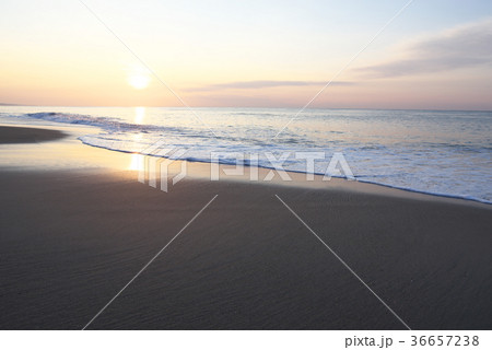 朝焼けの海(愛知県ー渥美半島、太平洋ロングビーチ) 朝焼けの海(愛知県ー渥美半島、太平洋ロングビーチ) 36657238