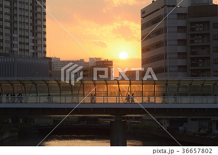 横浜夕景 横浜夕景 36657802