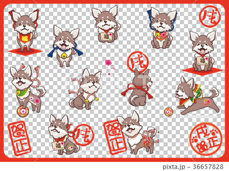 奇瓦瓦06新年 奇瓦瓦06新年 36657828