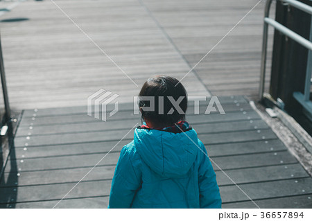 2 years old 2 years old 36657894