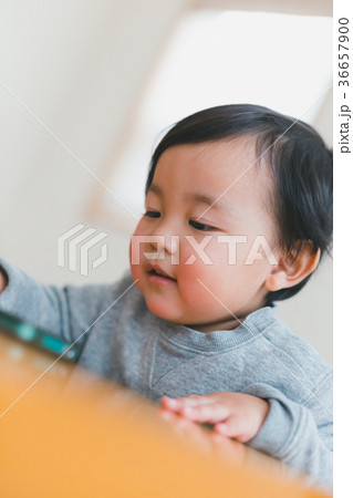 2 years old 2 years old 36657900