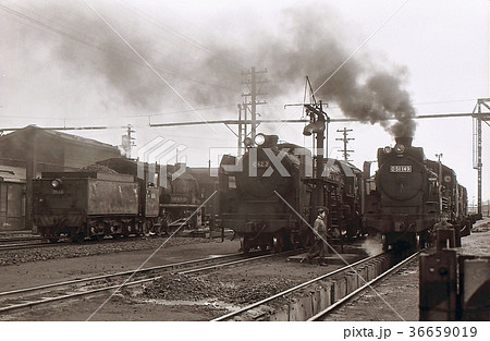 昭和44年 長万部のc623と9600とD51 函館本線 北海道 昭和44年 長万部のc623と9600とD51 函館本線 北海道 36659019