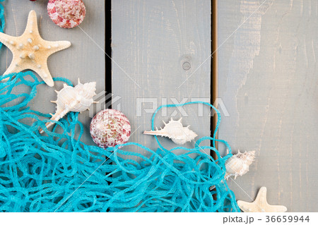 Seashells with blue net on grey wooden background Seashells with blue net on grey wooden background 36659944