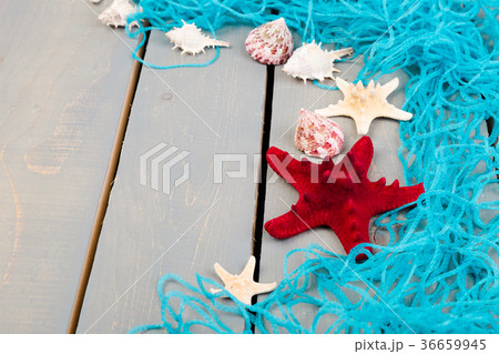 Seashells with blue net on grey wooden background Seashells with blue net on grey wooden background 36659945