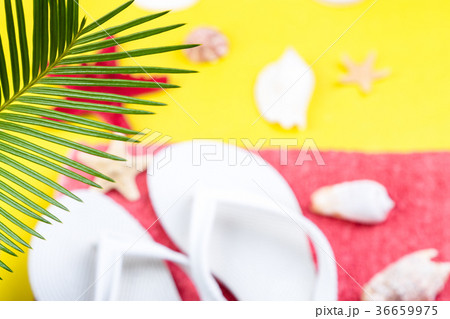 Tropical Background Palm Trees Branches Tropical Background Palm Trees Branches 36659975