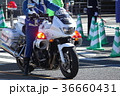 白バイと警官 36660431
