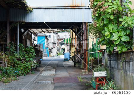 網代港近くのレトロな風景 36661150
