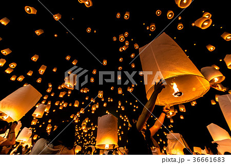 ラプンツェル ラプンツェル 36661683