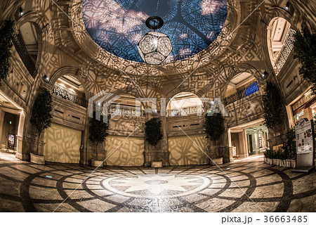 お台場・ヴィーナスフォートのイルミネーション オリーブ広場 お台場・ヴィーナスフォートのイルミネーション オリーブ広場 36663485