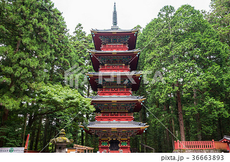 日光東照宮 五重塔 栃木県日光市 17年8月現在の写真素材