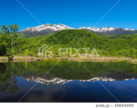 乗鞍高原　まいめの池 36664009