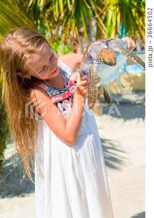 Adorable little girl with a small turtle in her 36664502