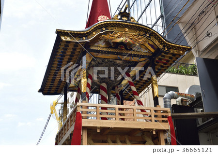 祇園祭 菊水鉾 鉾建て 祇園祭 菊水鉾 鉾建て 36665121