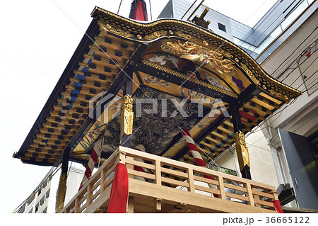 祇園祭 菊水鉾 鉾建て 祇園祭 菊水鉾 鉾建て 36665122