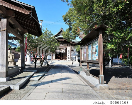 津島神社３ 36665163