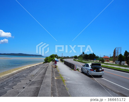 沖縄のドライブ 36665172