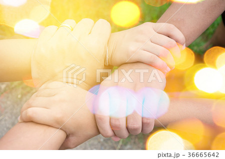 harmonious hand of team work under warm light harmonious hand of team work under warm light 36665642