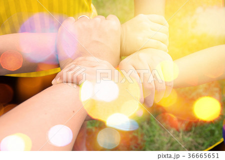 harmonious hand of team work under warm light harmonious hand of team work under warm light 36665651