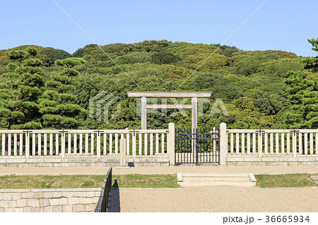 大阪・大仙陵古墳（仁徳天皇陵） 36665934