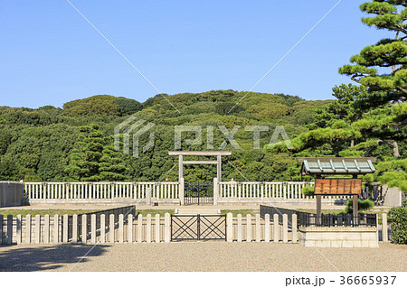 大阪・大仙陵古墳（仁徳天皇陵） 36665937