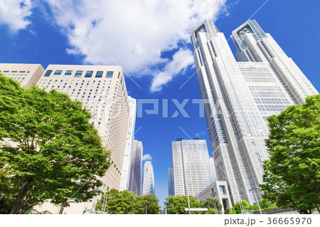 緑とオフィスビルのある都市風景 36665970