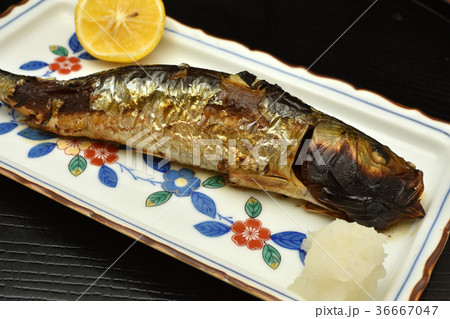 焼き魚 いわし 大羽いわし の写真素材