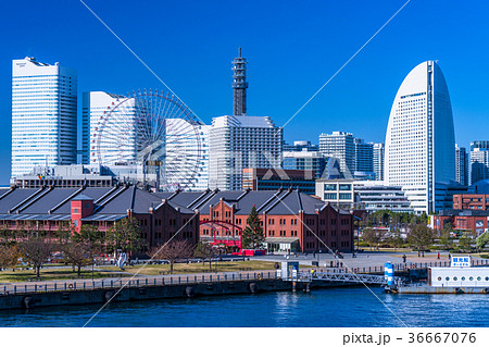 《神奈川県》横浜みなとみらい・都市風景 36667076